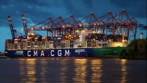 集裝箱船交易量和運價創紀錄,有人歡喜有人憂