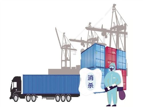 濟寧市防控非冷鏈進口集裝箱風險 閉環管理 全環節追溯