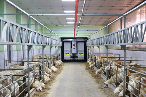 農業“雙強”行動結碩果，浙江農業生產更高效，集裝箱租賃助力產業升級